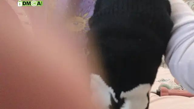 KawaiiNullify webcam