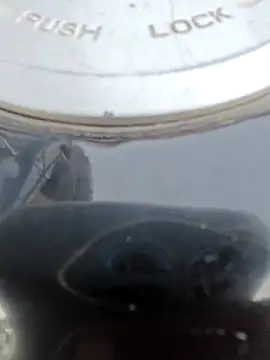 Pagalladka-89 webcam