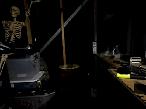 thejuicybacon webcam