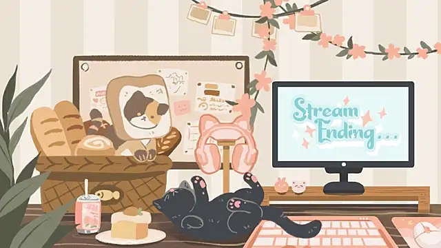 geekycastillo webcam