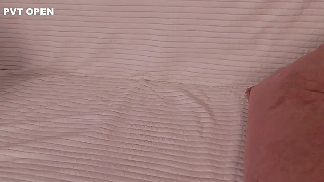 hlopushkahouse webcam