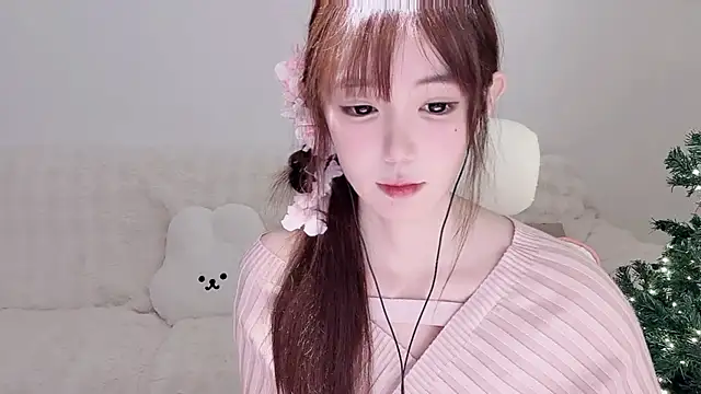 Xiao-runbao webcam