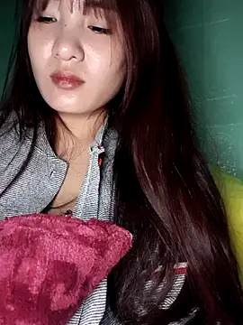 Linksys_nicee webcam