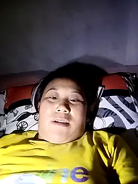 xuan-ha webcam