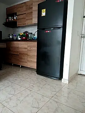 LEIRIS_Y_FRED_01 webcam