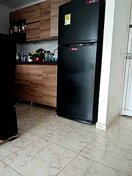 LEIRIS_Y_FRED_01 webcam