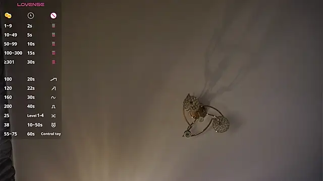 SibleyAllston webcam