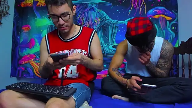 Kingbigcock23cm webcam