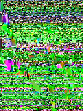 You-kitty2025 webcam