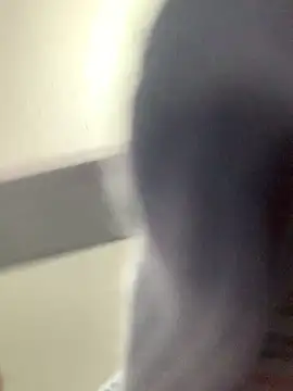 La-Gatiita-trans webcam