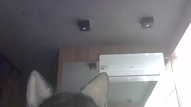 SkinnyKitten webcam