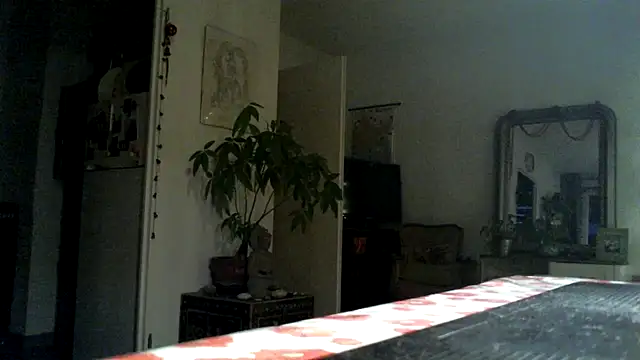 frenchblackc31 webcam