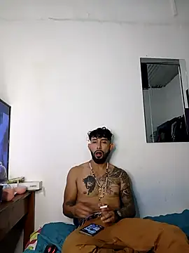 Kingbigcock23cm webcam