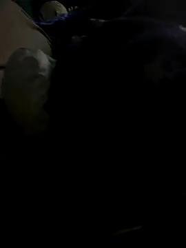 groschibre40100 webcam