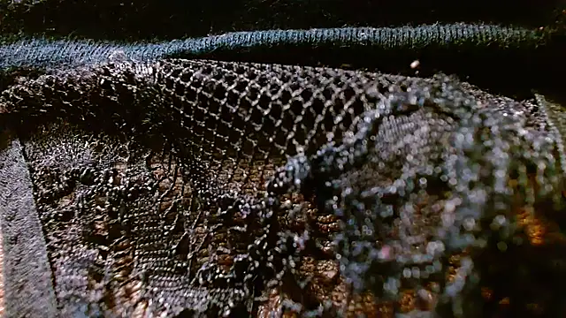 bethanywilson_23 webcam