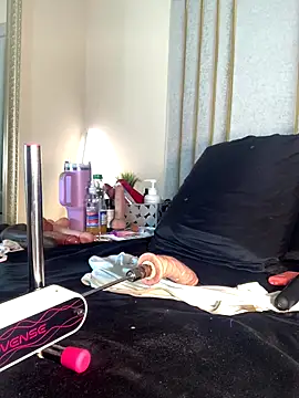 Liincostelloo webcam