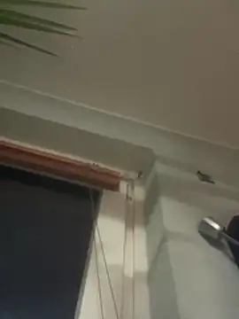 pillepallex84x webcam