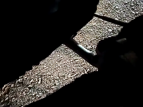 Kingbigcock23cm webcam