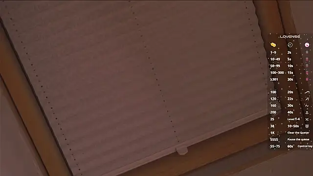 LeonaBelhumeur webcam