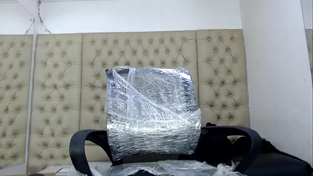 HollmanFronsh webcam