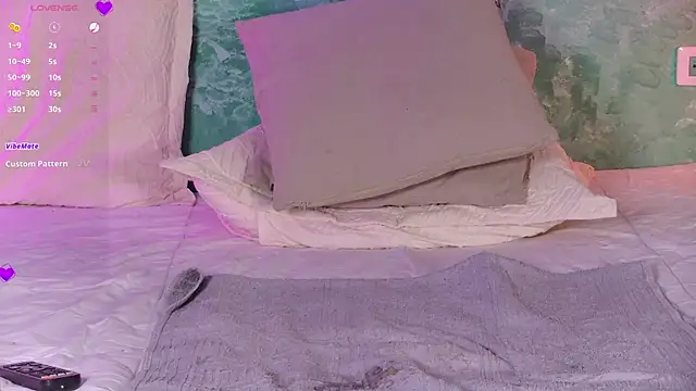 VicenteFerrer webcam