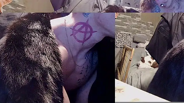 Preview of mastertrap