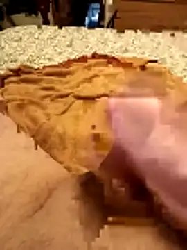 garibaldi1974 webcam