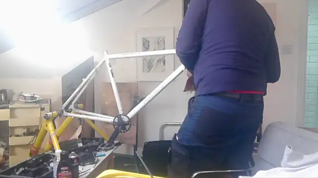 mista_sista_fista webcam