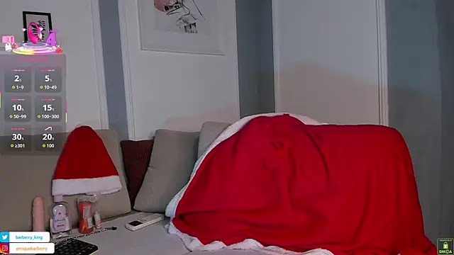 EnriqueBarberry webcam