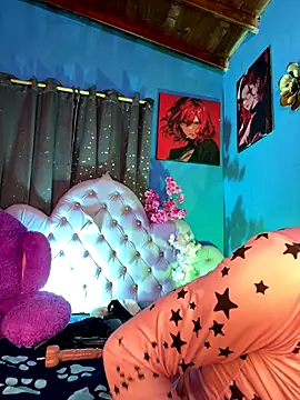 Naugth_channel_ts webcam