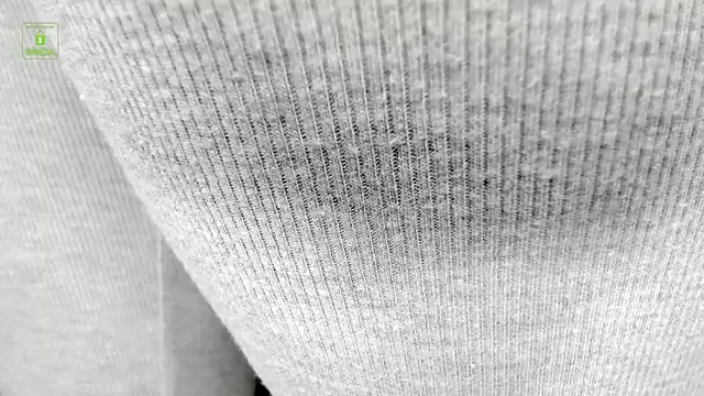 Stephany_Richardz webcam