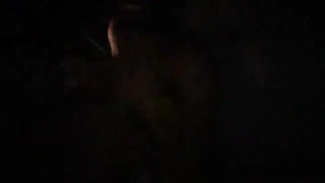 Rayraythegoat webcam