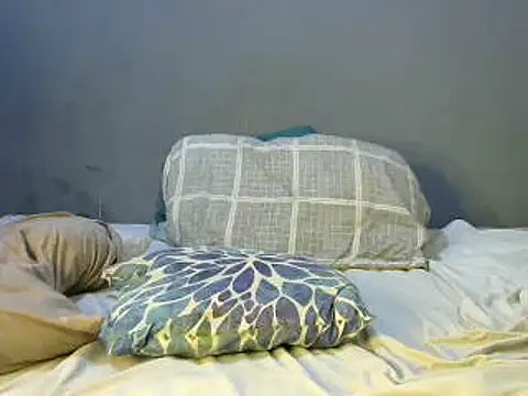 PrudyPressureBoss webcam