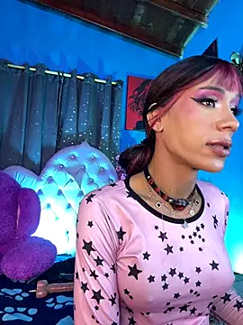 Naugth_channel_ts webcam