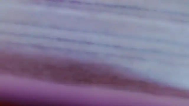 Niccolls_Princess_ webcam