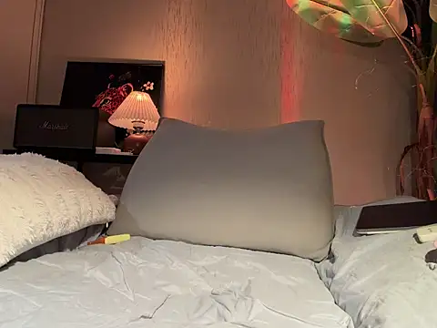 -cyber-butterfly- webcam