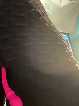 SALOME_KORLAND webcam