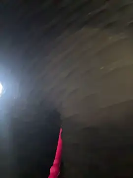 SALOME_KORLAND webcam