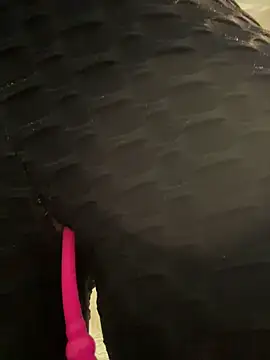 SALOME_KORLAND webcam