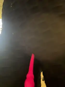 SALOME_KORLAND webcam