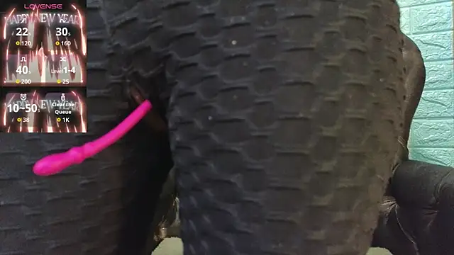 SALOME_KORLAND webcam