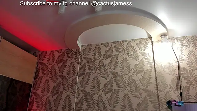 Cactus__James webcam