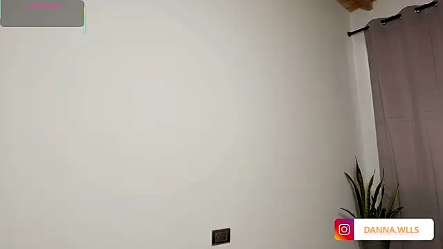 Dannawells webcam