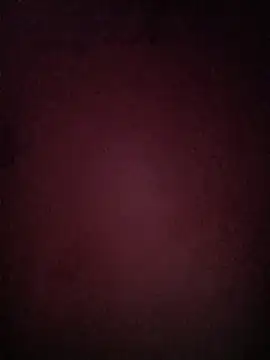 Buffshagswell webcam