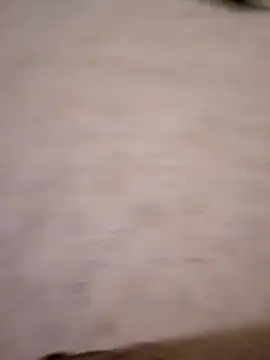 MeryLive59011 webcam