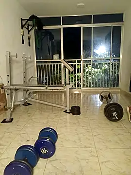 LEIRIS_Y_FRED_01 webcam