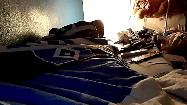 GeilerHSVFAN1989 webcam