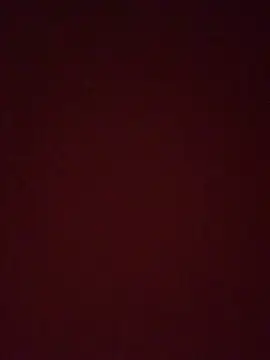 GoldenPussy1329 webcam