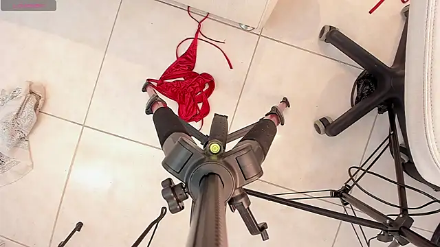 sheinny_brown webcam