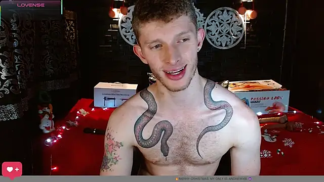 andrewxbi webcam